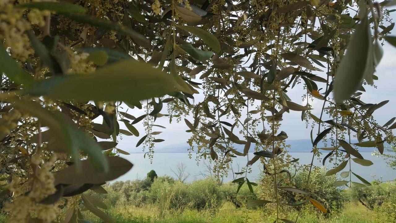 Hotel La Torre Castiglione del Lago Eksteriør bilde